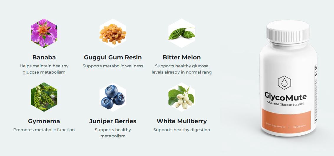 Ingredients of GlycoMute